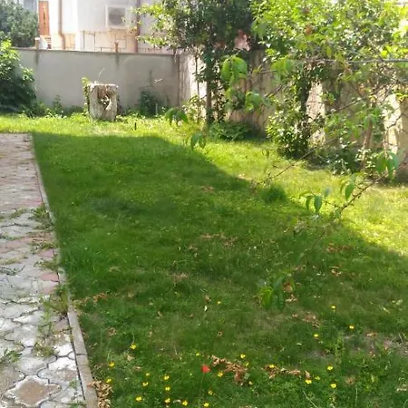 Casa de hóspedes Vila Eforie Elena *